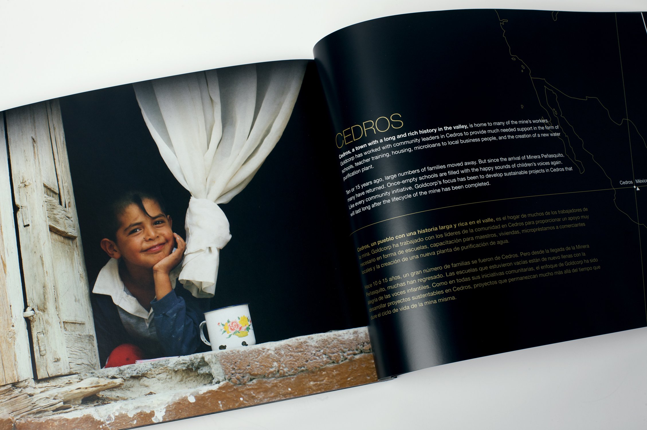 KMDP-Goldcorp-Book8.jpg