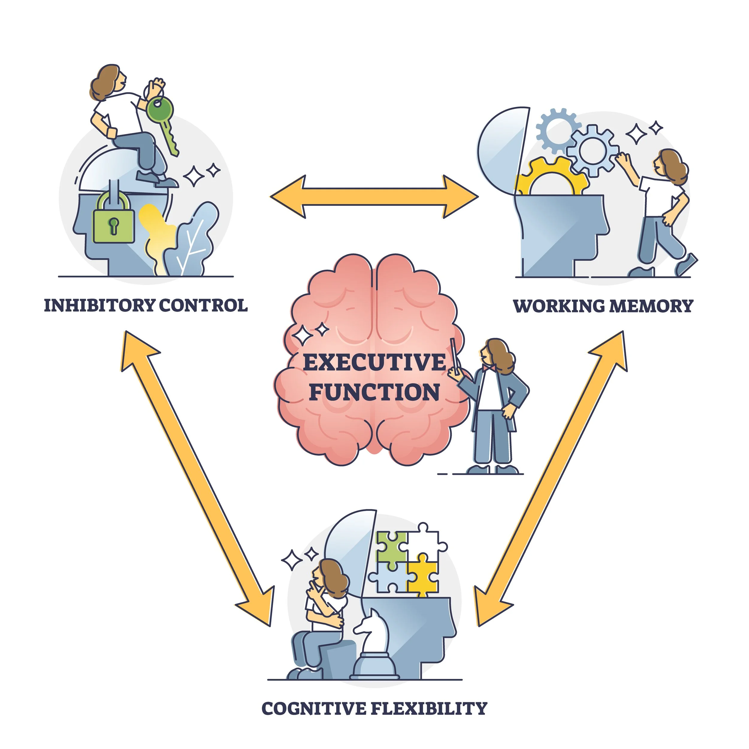 someone holding a key to a locked brain (Inhibitory control) Someone moving gears in a head (Working Memory) and someone piecing together a puzzle in a head (cognitive flexibility) all surrounding a brain (executive function) with arrows between each