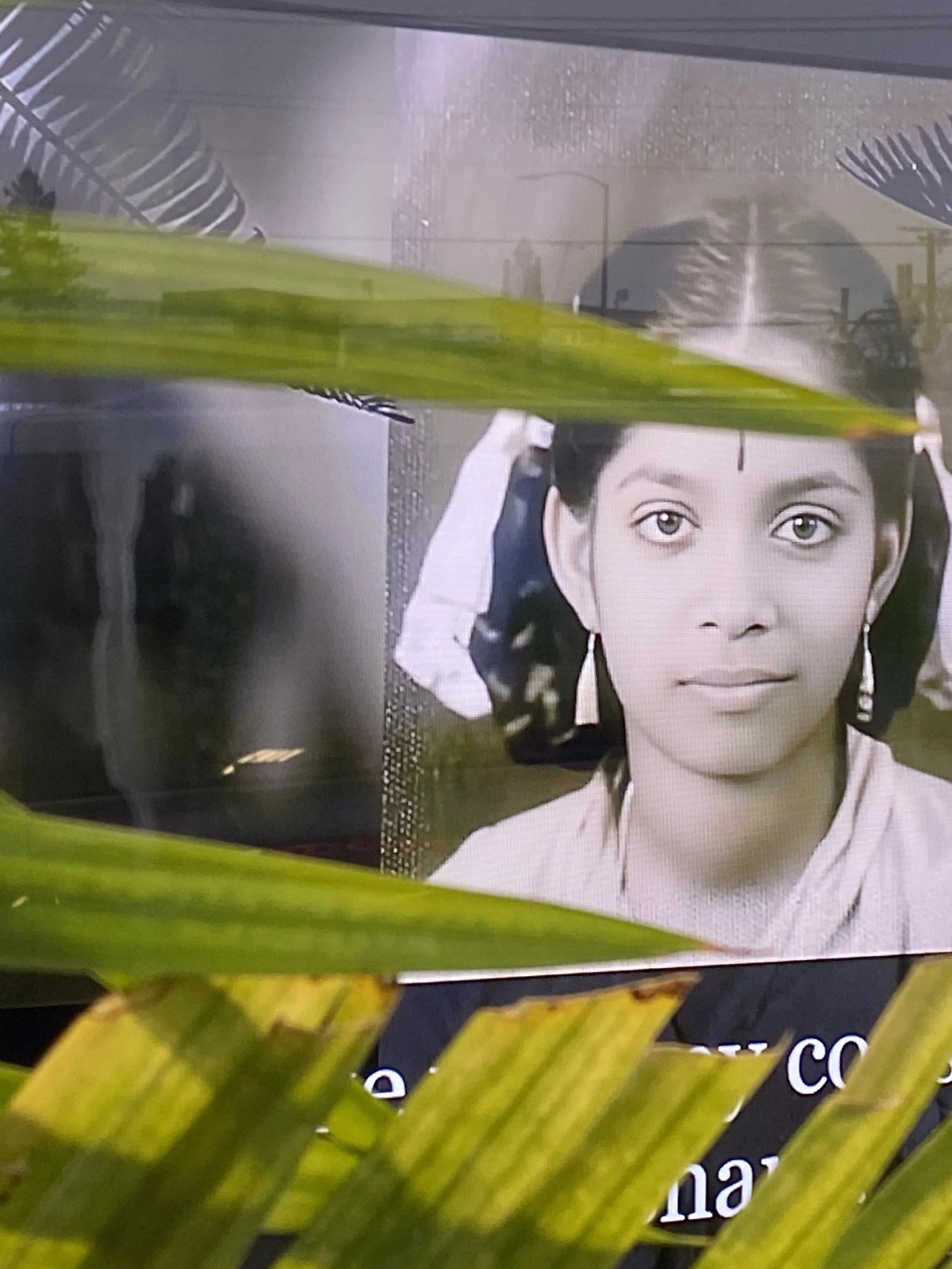 📍 Introducing NoVacancy