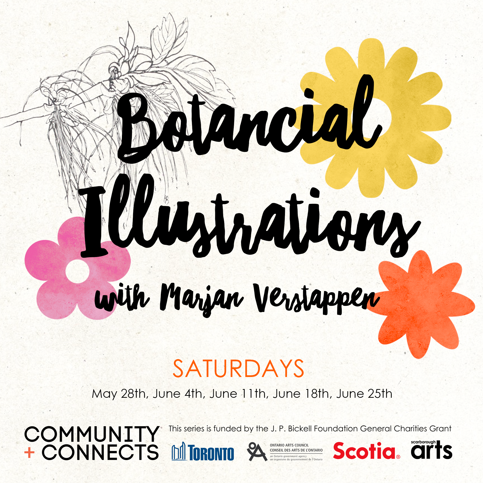 Illustrate Beautiful Spring Botanicals This Spring 🌸