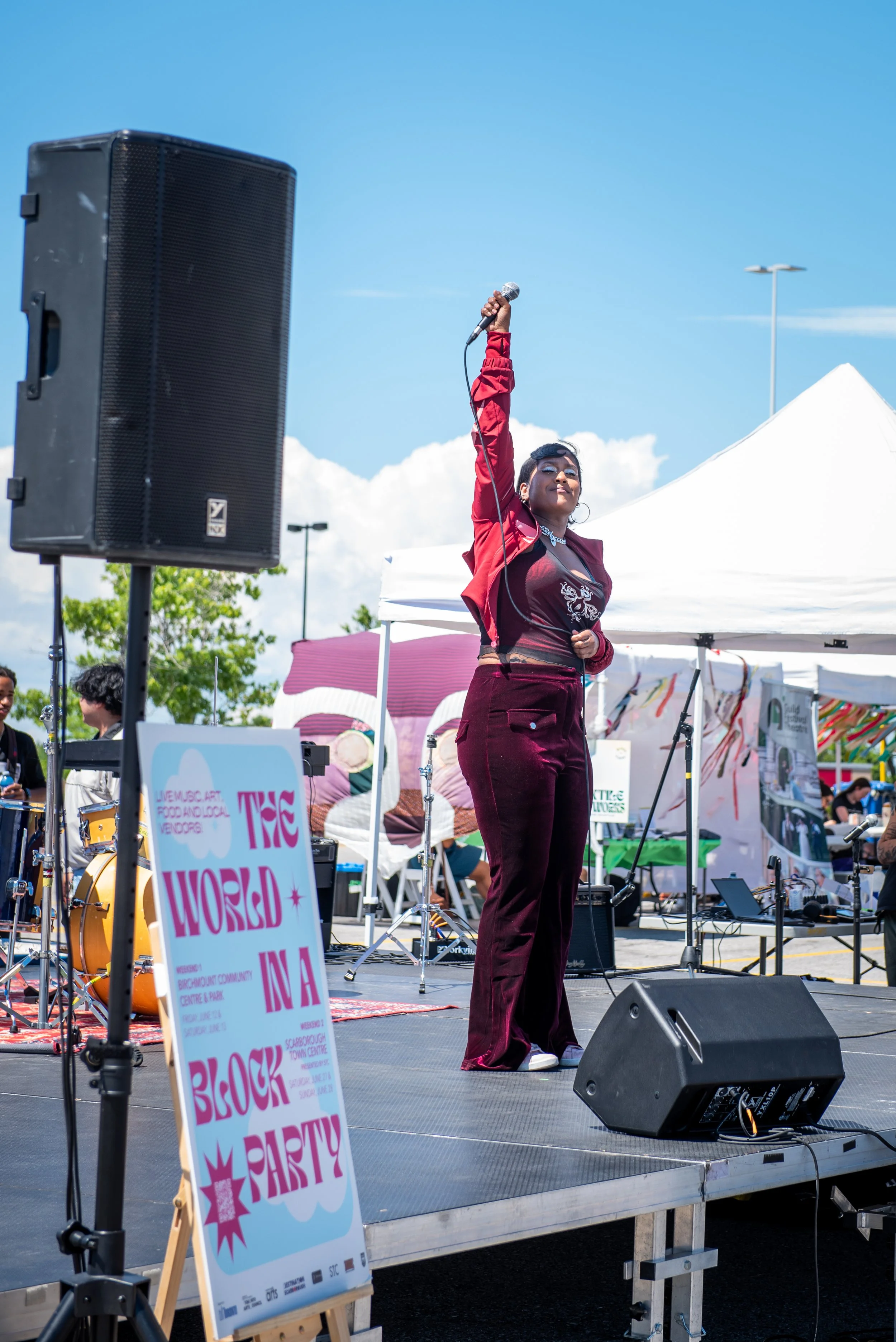 Thanks for Coming to The World in a Block Party, Presented by STC