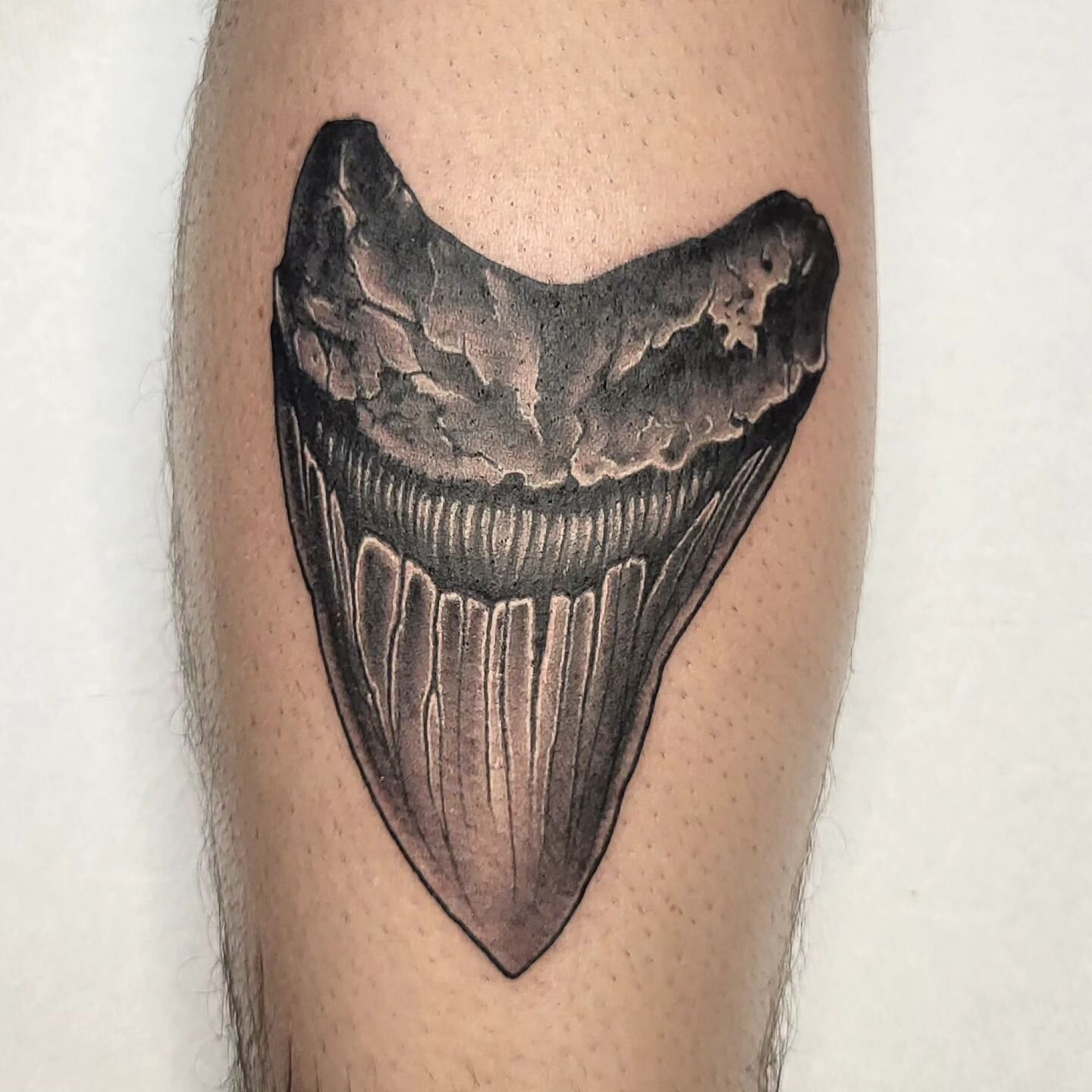 Thanks @tstewart_23 for sitting like a champ today and rocking this one out. More like this please!

#pleasureislandtattoo #coreyhardisontattoos #industryinks @industryinks #kingpintattoosupply @kingpintattoosupply #megalodontooth 
#carolinabeach #wi