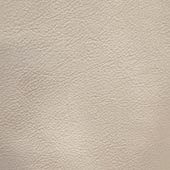065-Shetland-Beige-CPLeather_L.jpg