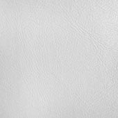 092-Snow-CLG_L.jpg