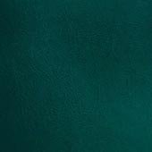 058-Burnished-Oxford-Green-CLG_L.jpg
