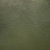 063-Bankisa-Green-CPLeather_L.jpg