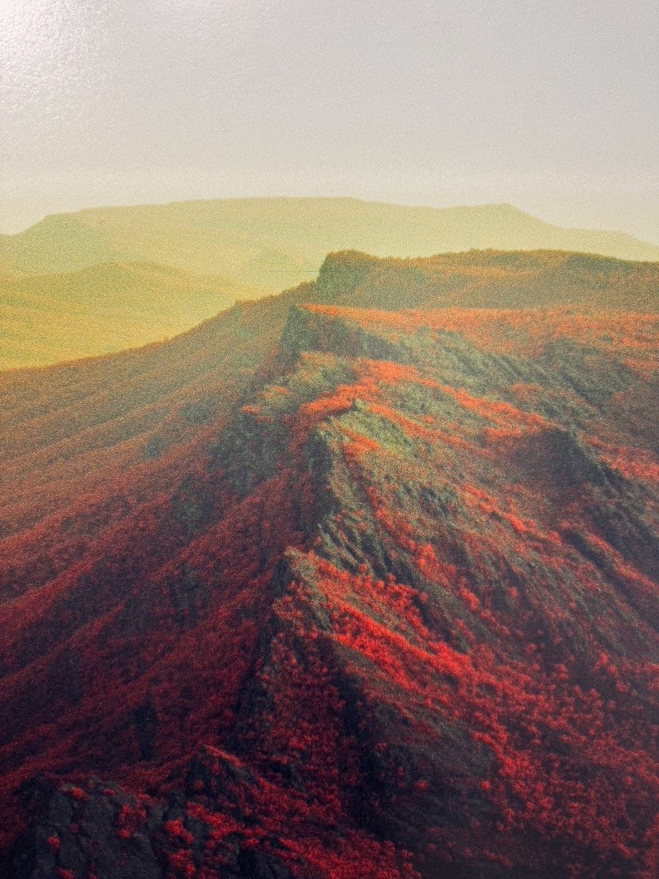 Bryce’s Red Earth