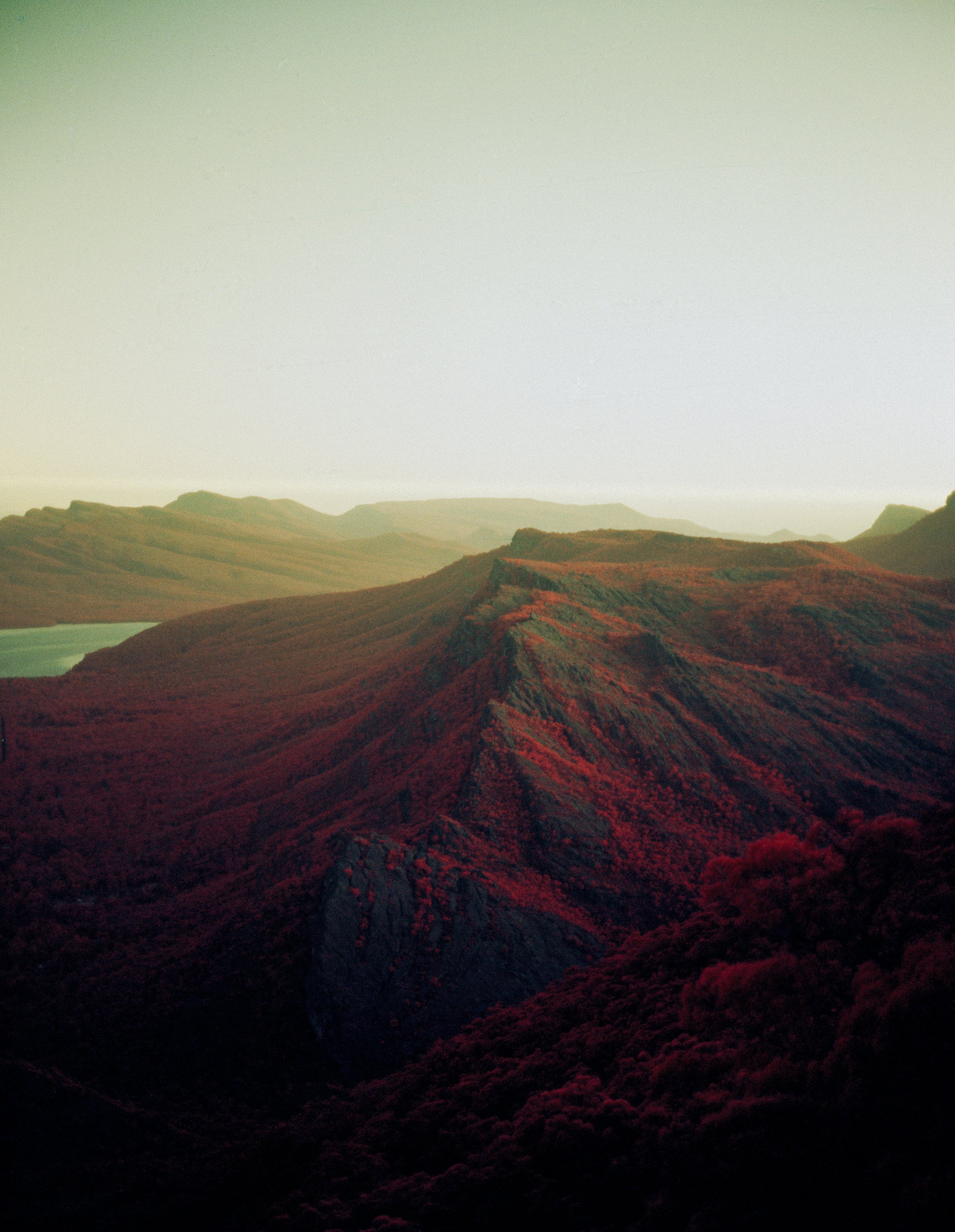 BK_Aerochrome_ForPrint_-2 sized.jpg