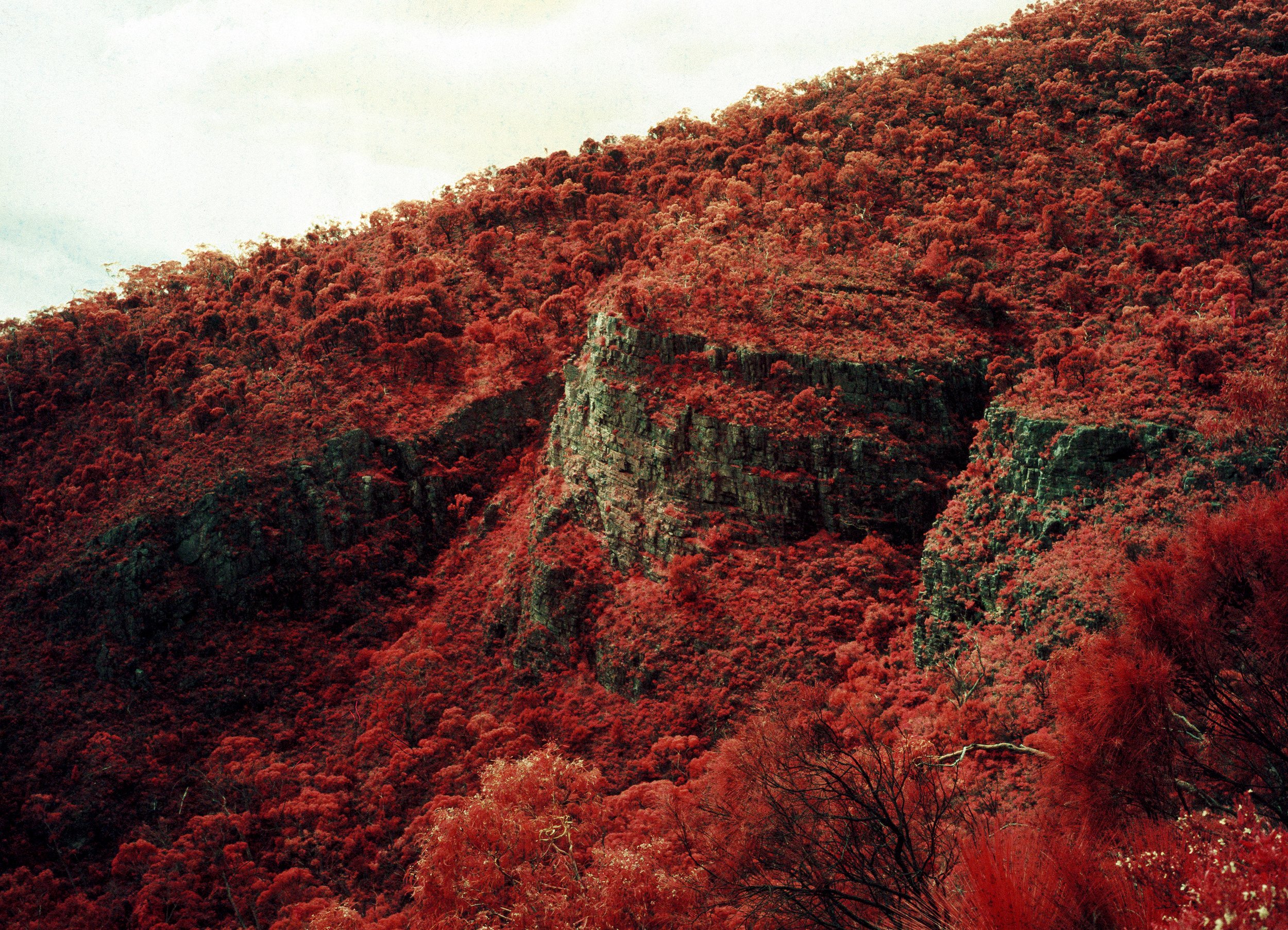 BK_Aerochrome_ForPrint_-1 sized.jpg