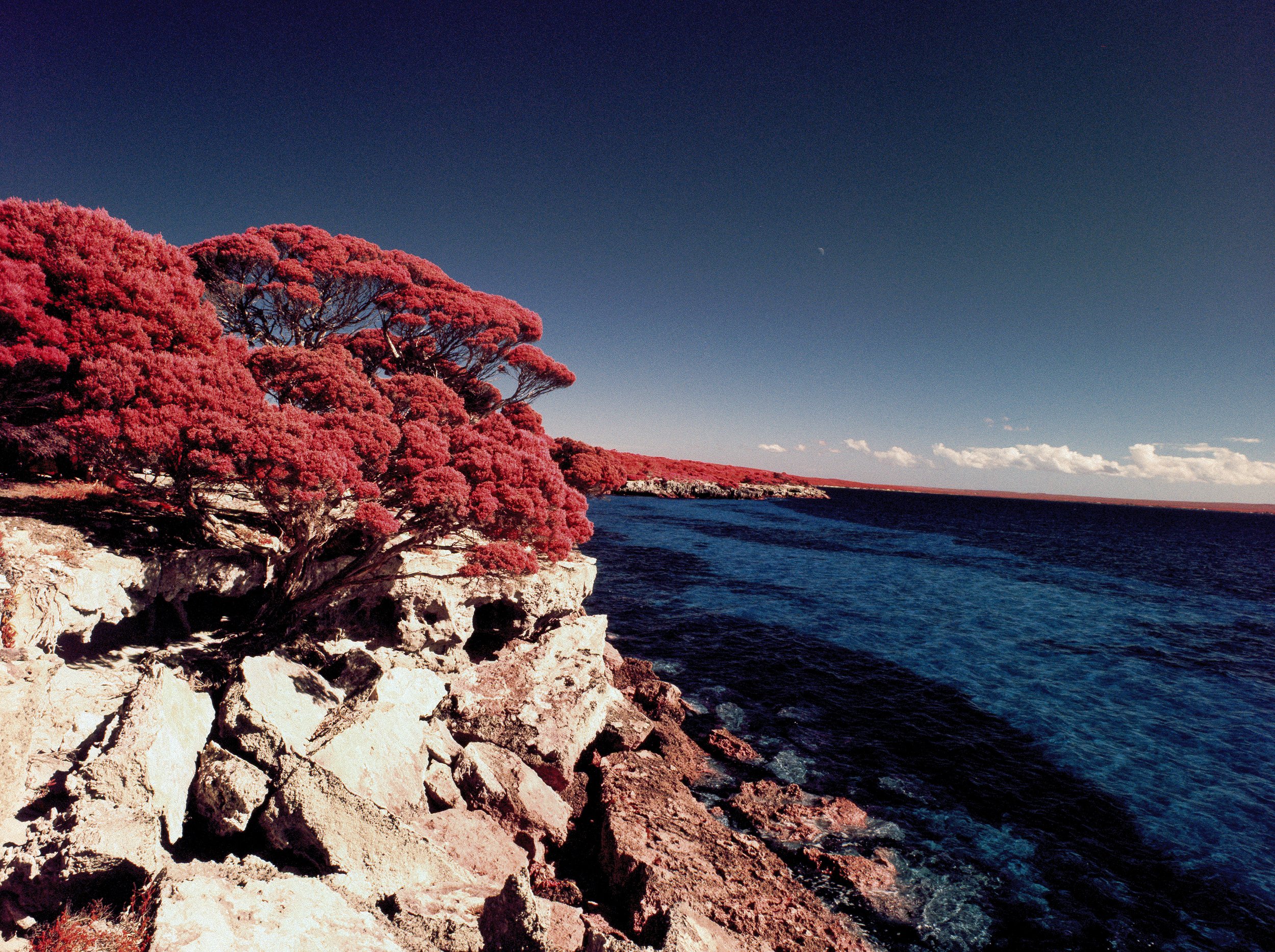 BK_Aerochrome_ForPrint_-4 sized.jpg