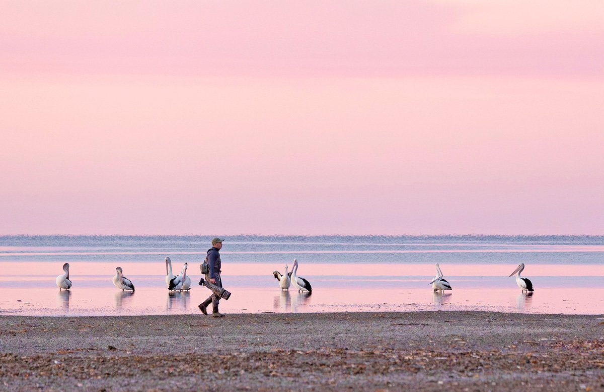 Portrait Winner - Simon and the pelicans - Sandy Horne.jpg