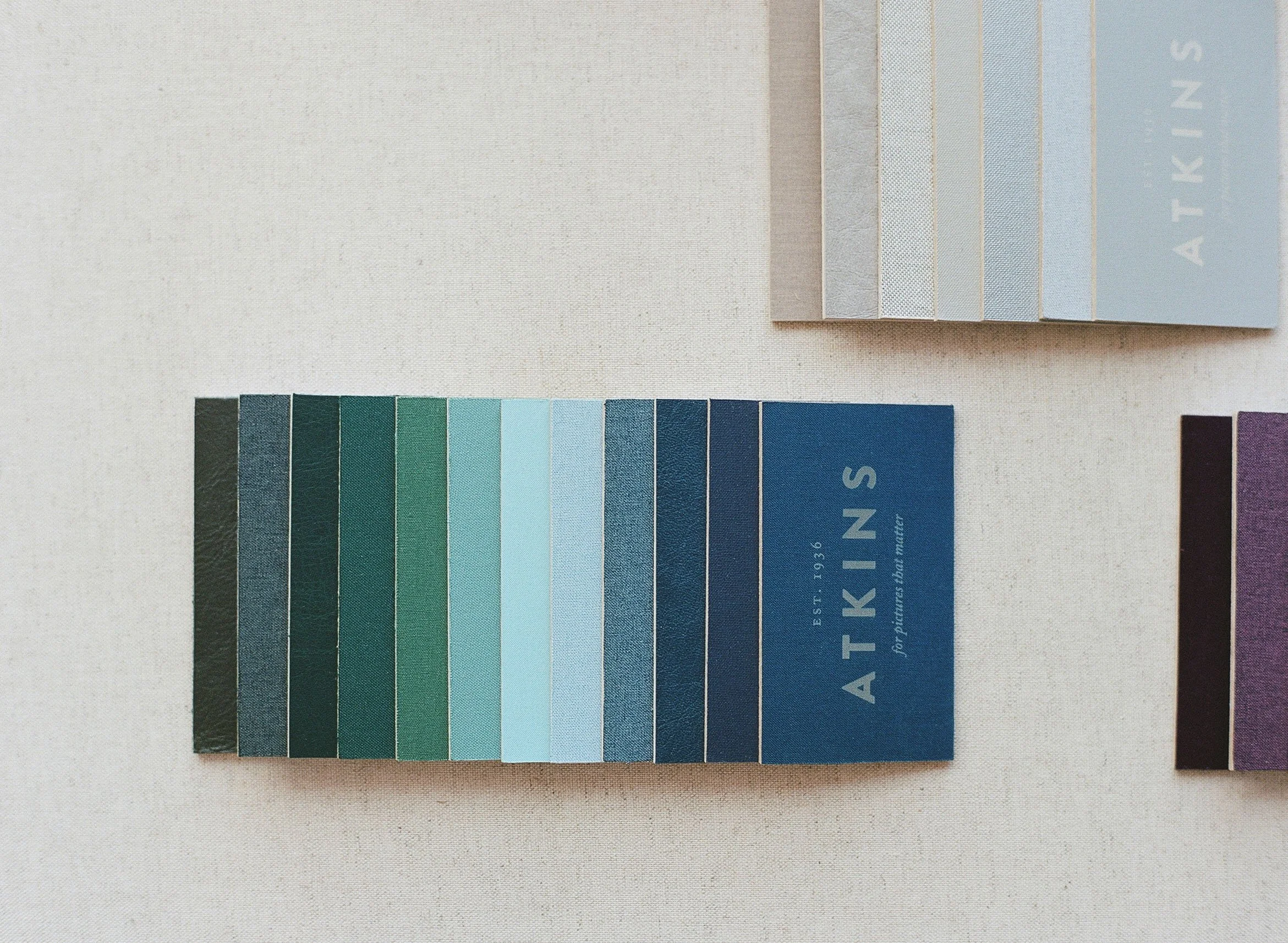 Album options — Atkins Lab