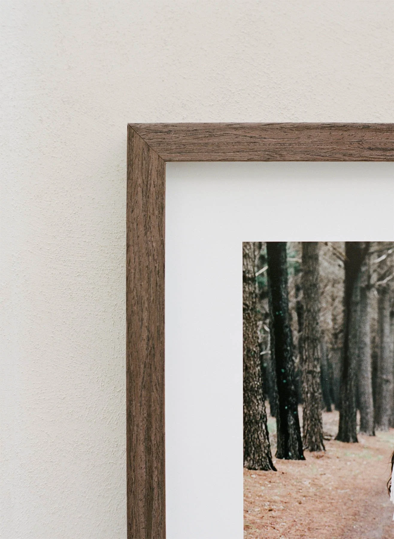 Close-up of the corner of a wooden picture frame hanging on a beige wall, with part of a nature photograph showing trees visible within the frame.