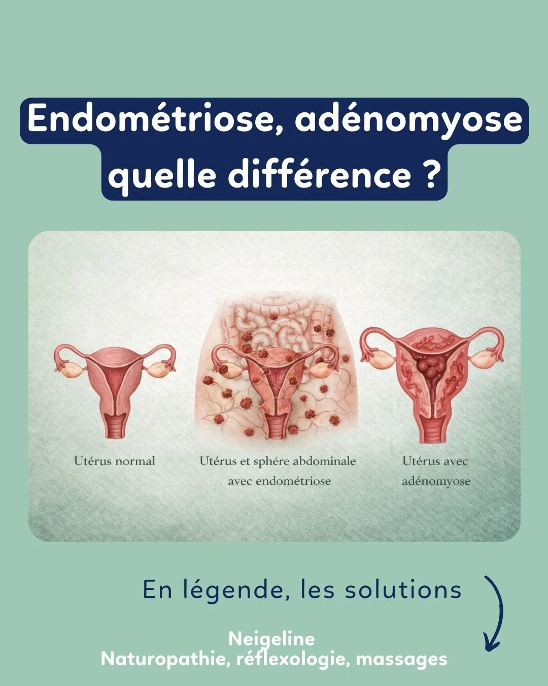 post IG cab' (16).jpg