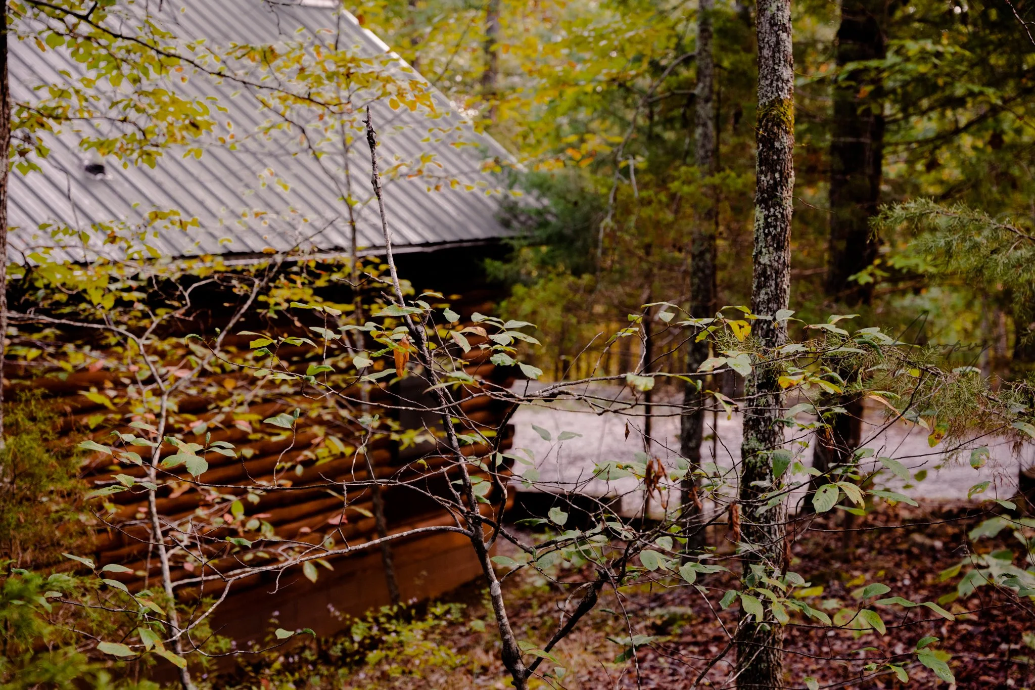 DSC06049.jpg