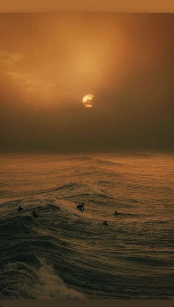 Solar Eclipse in Aries on April 20th, 2023 — saturn and honey