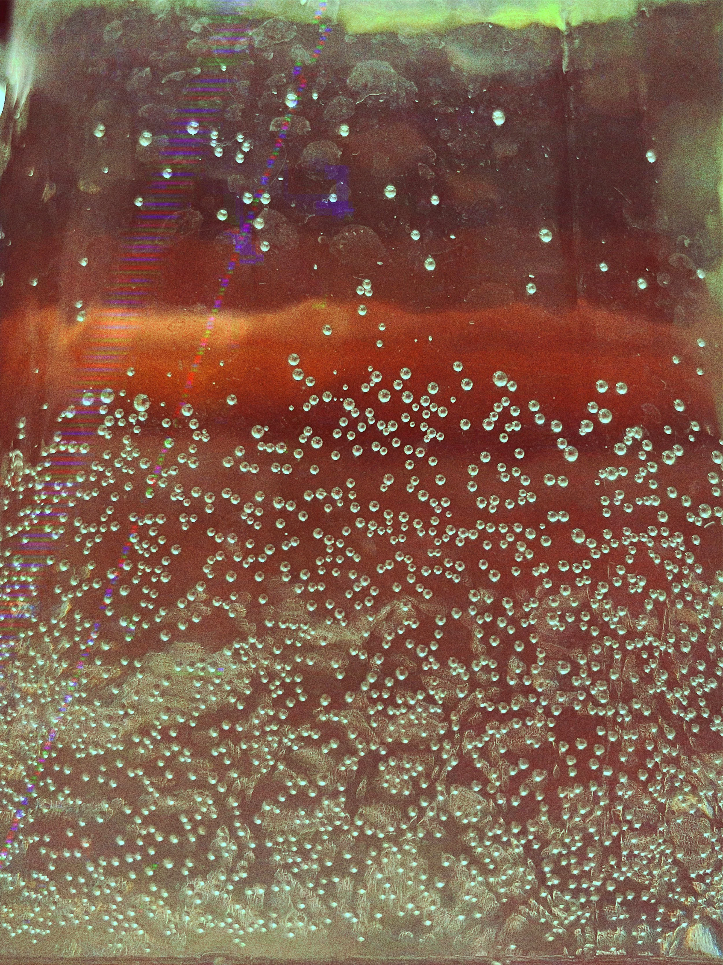 THE FUTURE ASTROLOGY.jpg