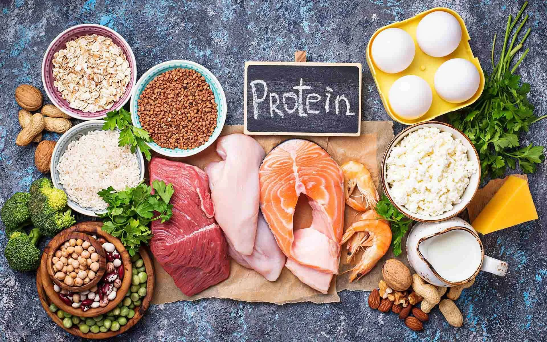 protein! A deep dive into why it’s so important for athletes