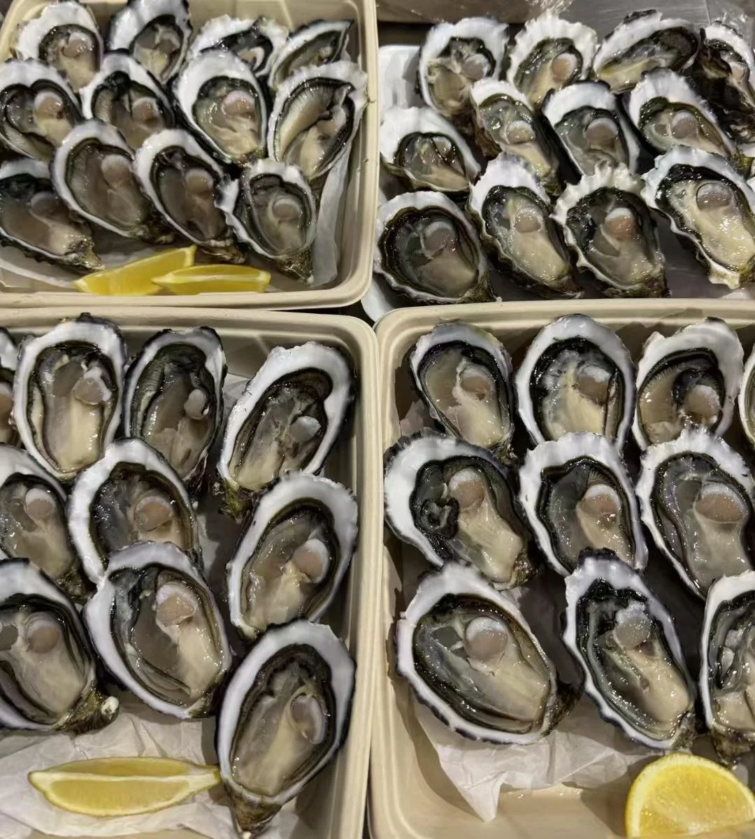 Fresh oysters on the half shell served on trays with lemon wedges.