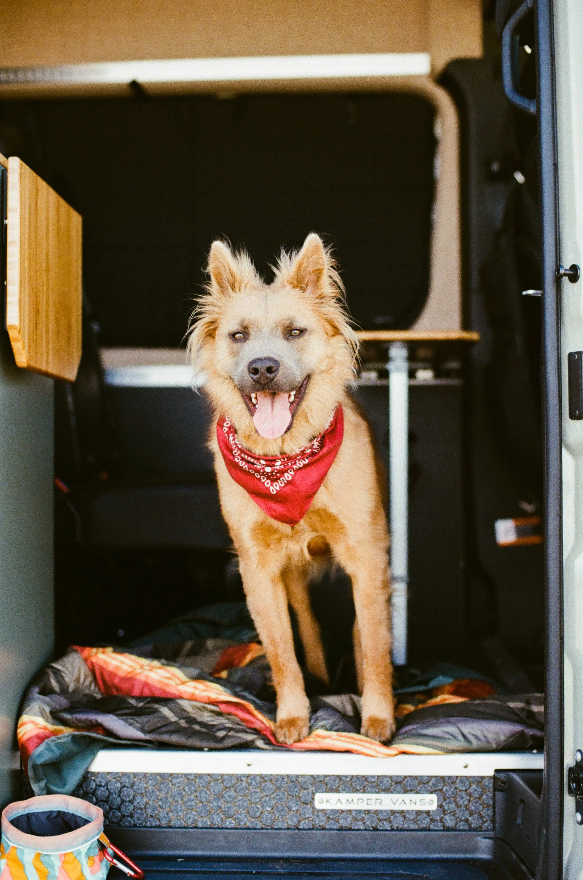 Rear Bed Area in Sprinter 170 Camper Van.jpg