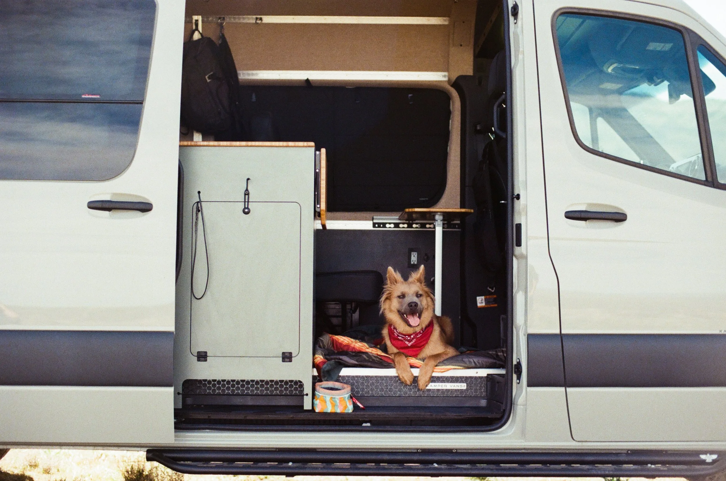 Sprinter Camper Van Slider Door with Dog.jpg
