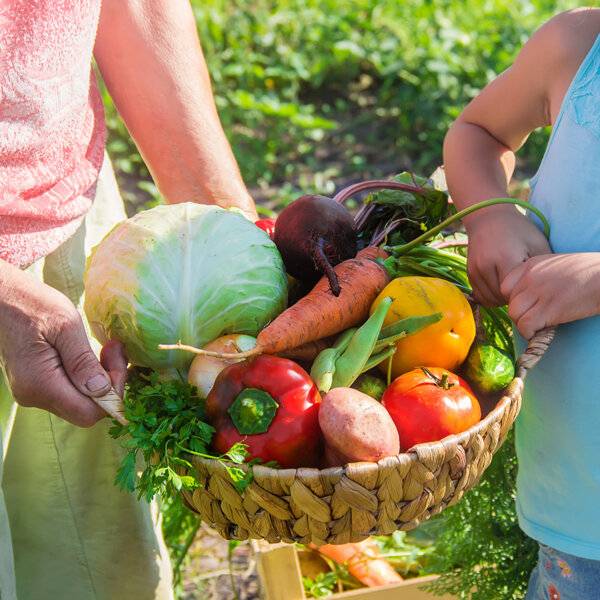 🌱Talk@10 This Saturday: When to Harvest with Jeff. Next CSA Pick-Up April 6th 10am-12pm.