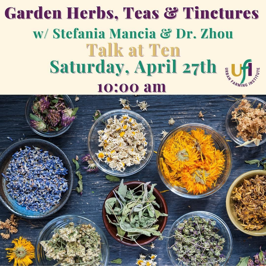 📣 ✨Talk At Ten-Saturday✨

🌻Garden Herbs, Teas &amp; Tinctures 

Please join us for a very informative talk about the use of herbal medicine, and tips to grow these wonderful plants! We are excited to have these two power house specialists share wha