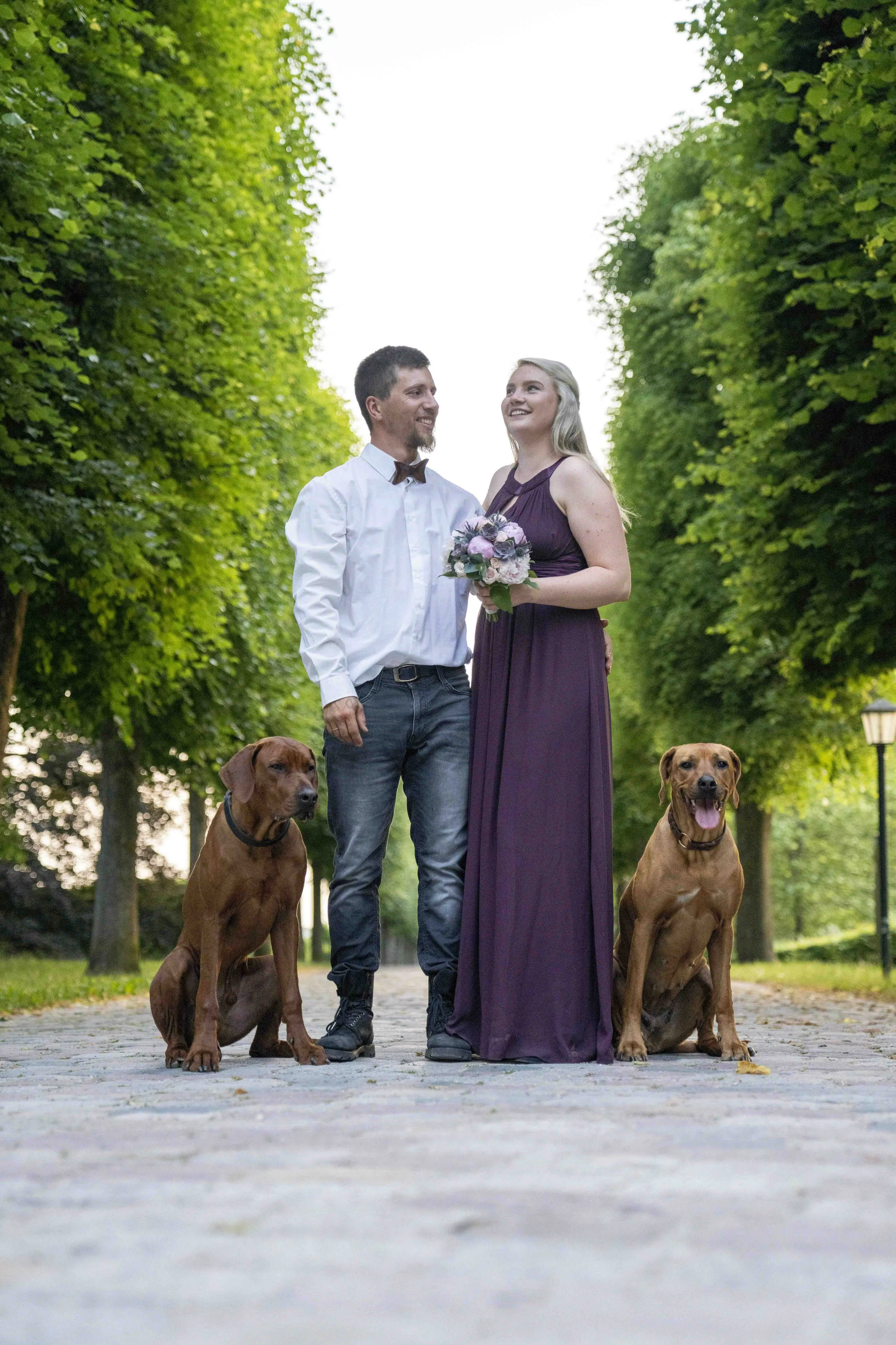 Ein Paar steht auf einem gepflasterten Weg in einem grünen Park, umgeben von zwei braunen Hunden. Die Frau trägt ein langes, lila Kleid und hält einen Blumenstrauß, während der Mann ein weißes Hemd und Jeans trägt.