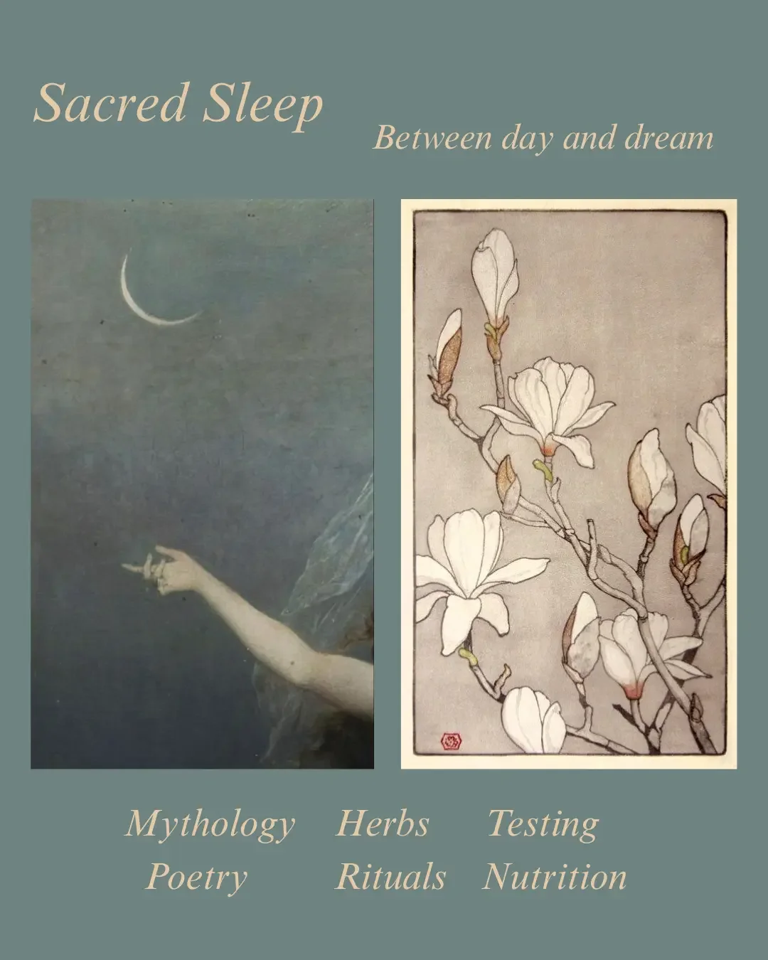 sacred-sleep-workshop-contents-naturopath-kim-patterson.webp