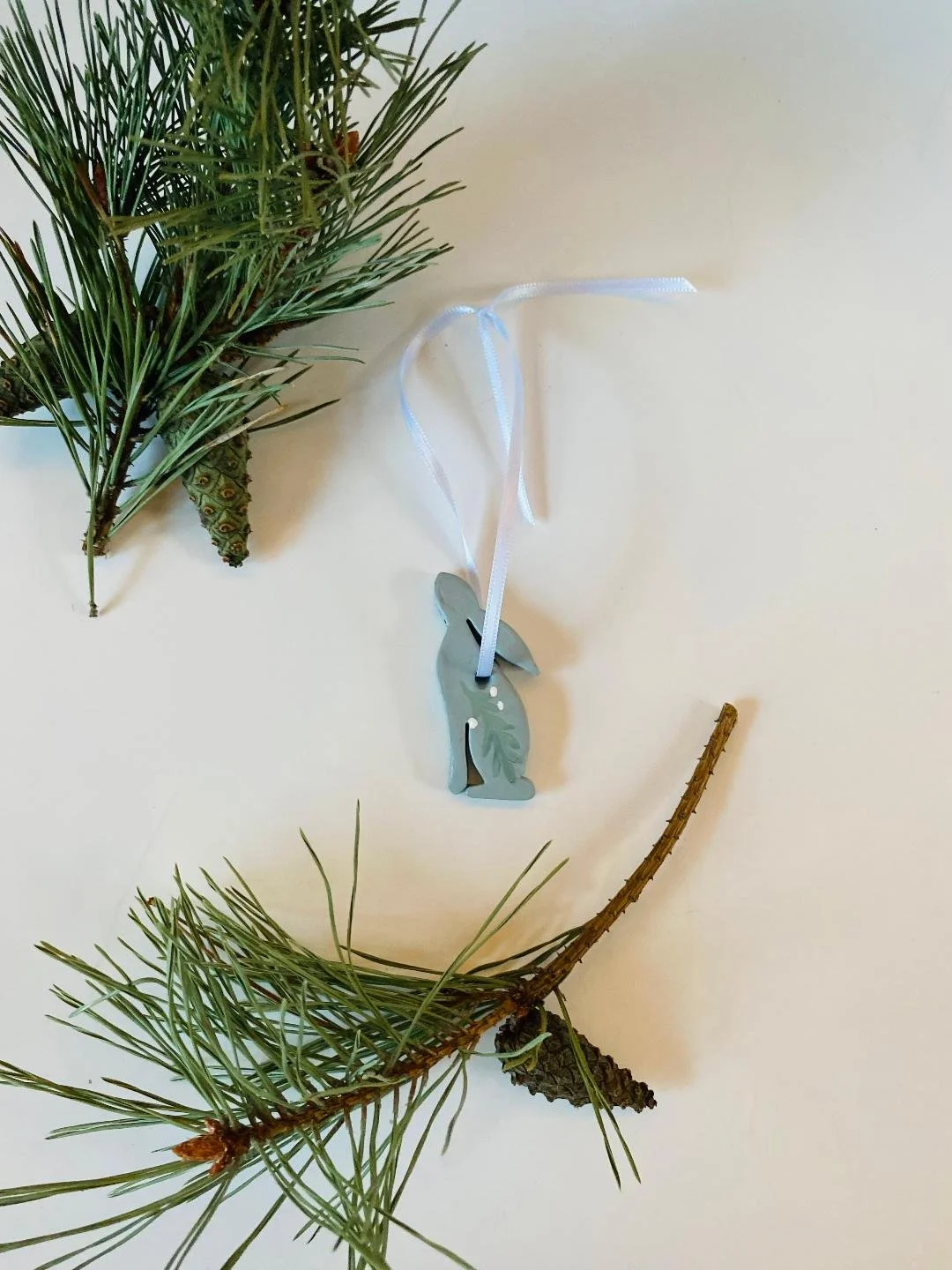 FLatlay Hare Blue Pic 2.jfif