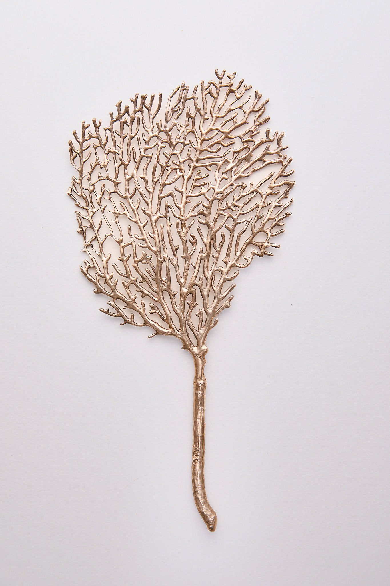 Détail éventail des mers_Margaux Toussaint_LD.jpg