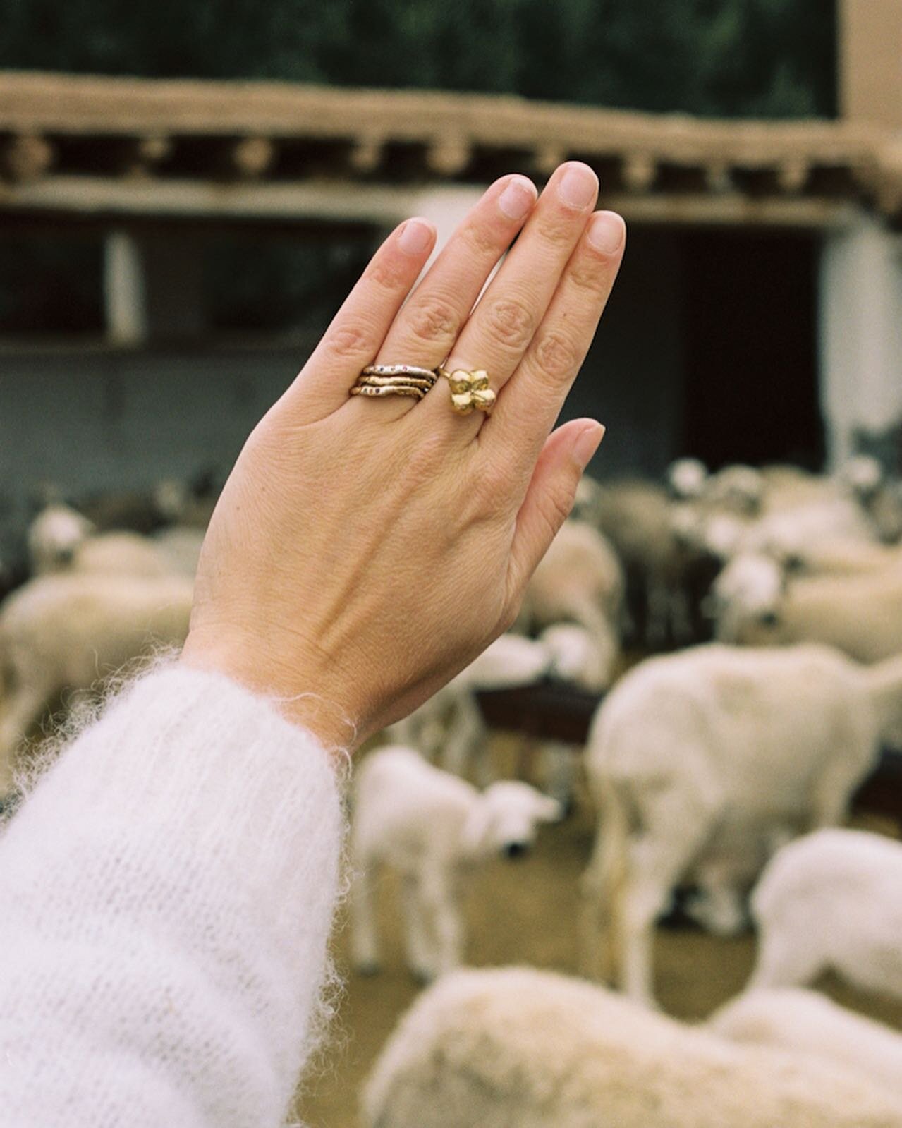 Atlas ~ Marocco 
Contemplation et cueillette se saison ~ Analogue 🎞️
.
.
#atlas #bijou #nature #wild #argentique #bague #marocco #season #citron #cueillette #sauvage #jewelery #saison #citron