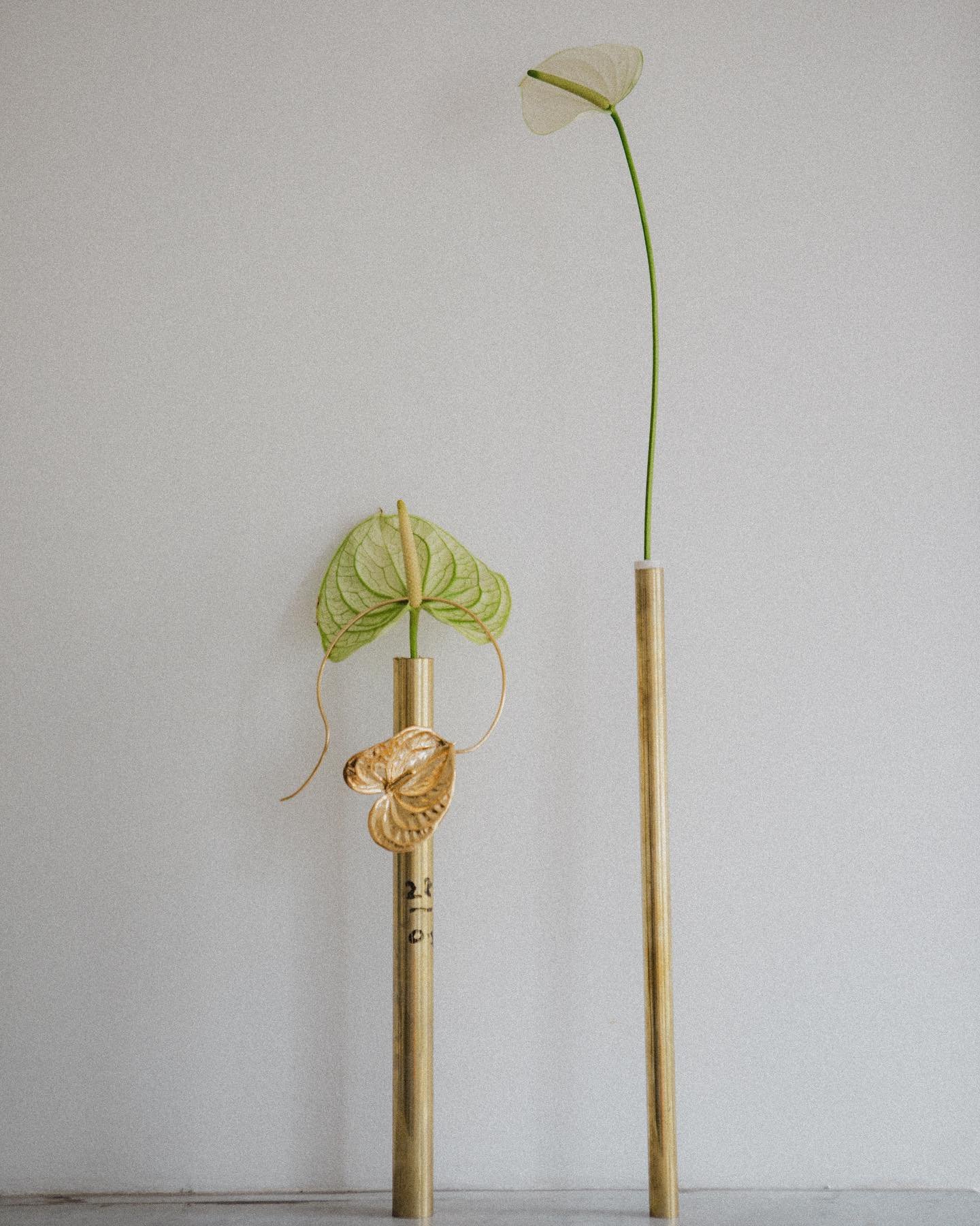 Fleur d&rsquo;Anthurium ~ pi&egrave;ce unique 
La fleur est fig&eacute;e par le cuivre puis recouverte d&rsquo;or 18 carats.

Pi&egrave;ce disponible, mp pour plus d&rsquo;infos ✉️

Photo @agathebdn 
Set @sfondo.studio 
.
#pieceunique #flower #flower