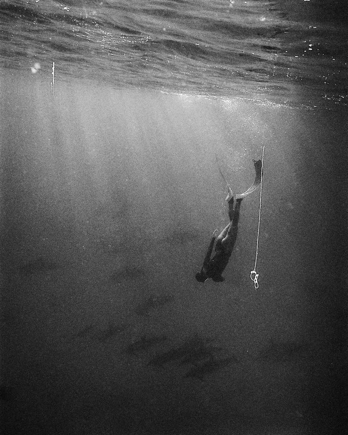 DEEP WATERS inspiration 
Dive into our new collection &ldquo;Deep waters&rdquo; on Saturday 23rd November 24
.
.
#blue #horizon #ocean #water #deep #deepwater #legrandbleu #mer #mediterranean #coquillage #shell #inspiration #nuancebleu #fondmarin #bl