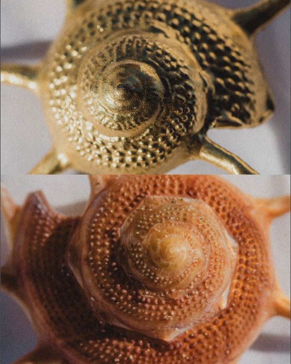 Deep waters 
Deep waters &eacute;voque les profondeurs de la mer, du voyage, d&rsquo;un monde onirique marin.

Le coquillage est symbole et empreinte d&rsquo;histoire, objet de curiosit&eacute;, de r&ecirc;verie, utilis&eacute; dans la confection de 