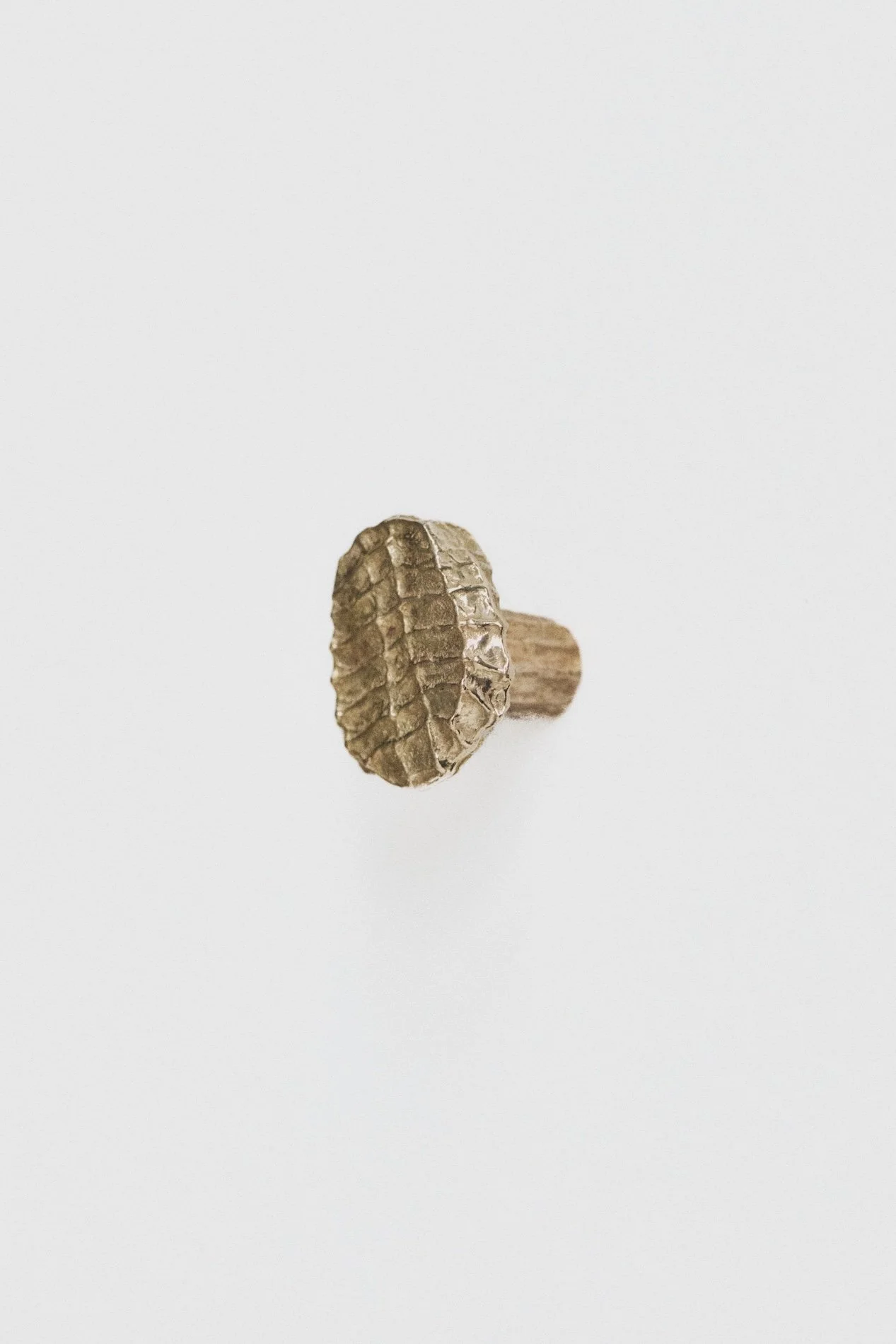 MT_Roc_laiton-naturel_profil_fond-blanc©AgatheBoudin.jpg