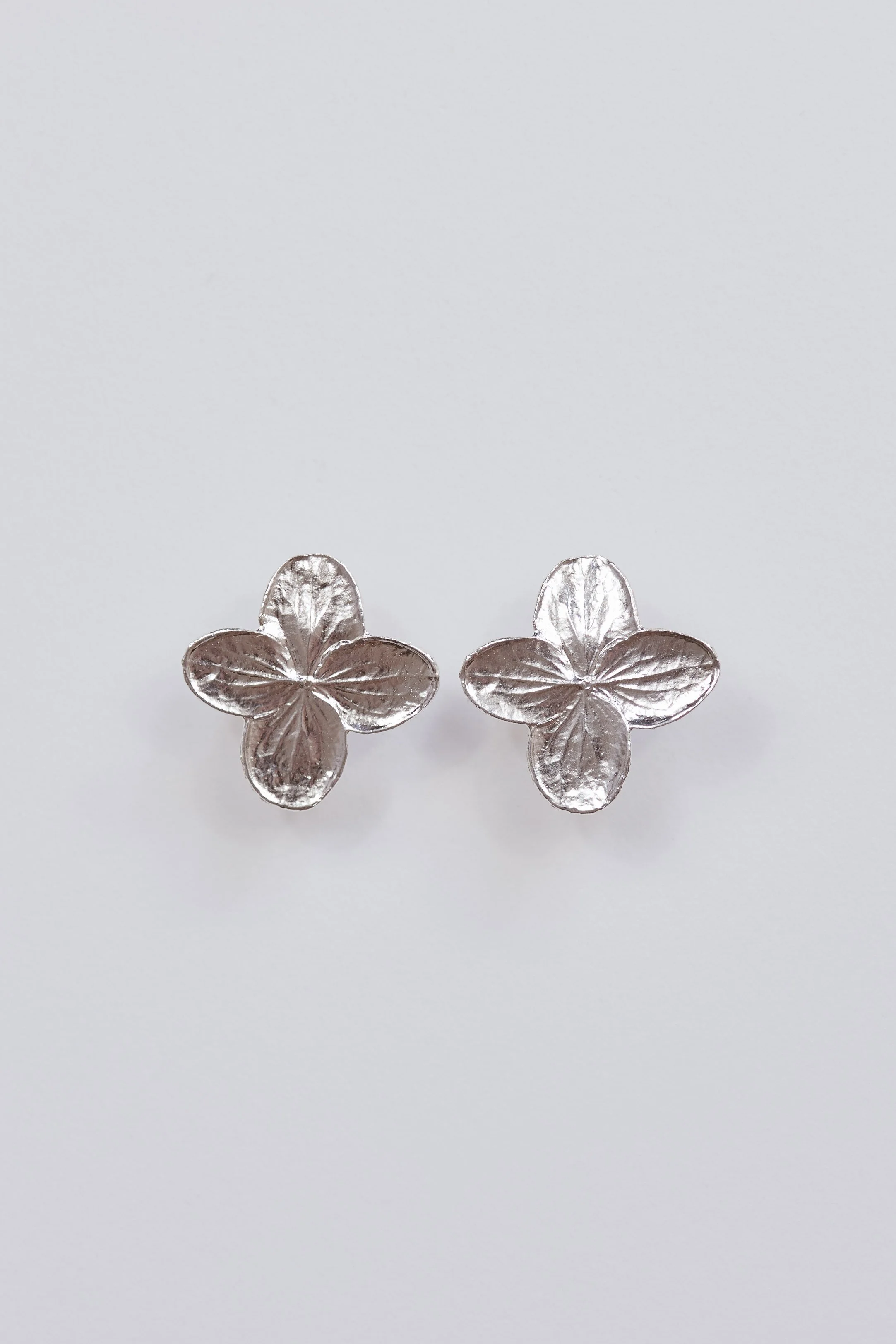 Packshot_Boucles  Hydrangea_Argent_Margaux Toussaint_LD.jpg