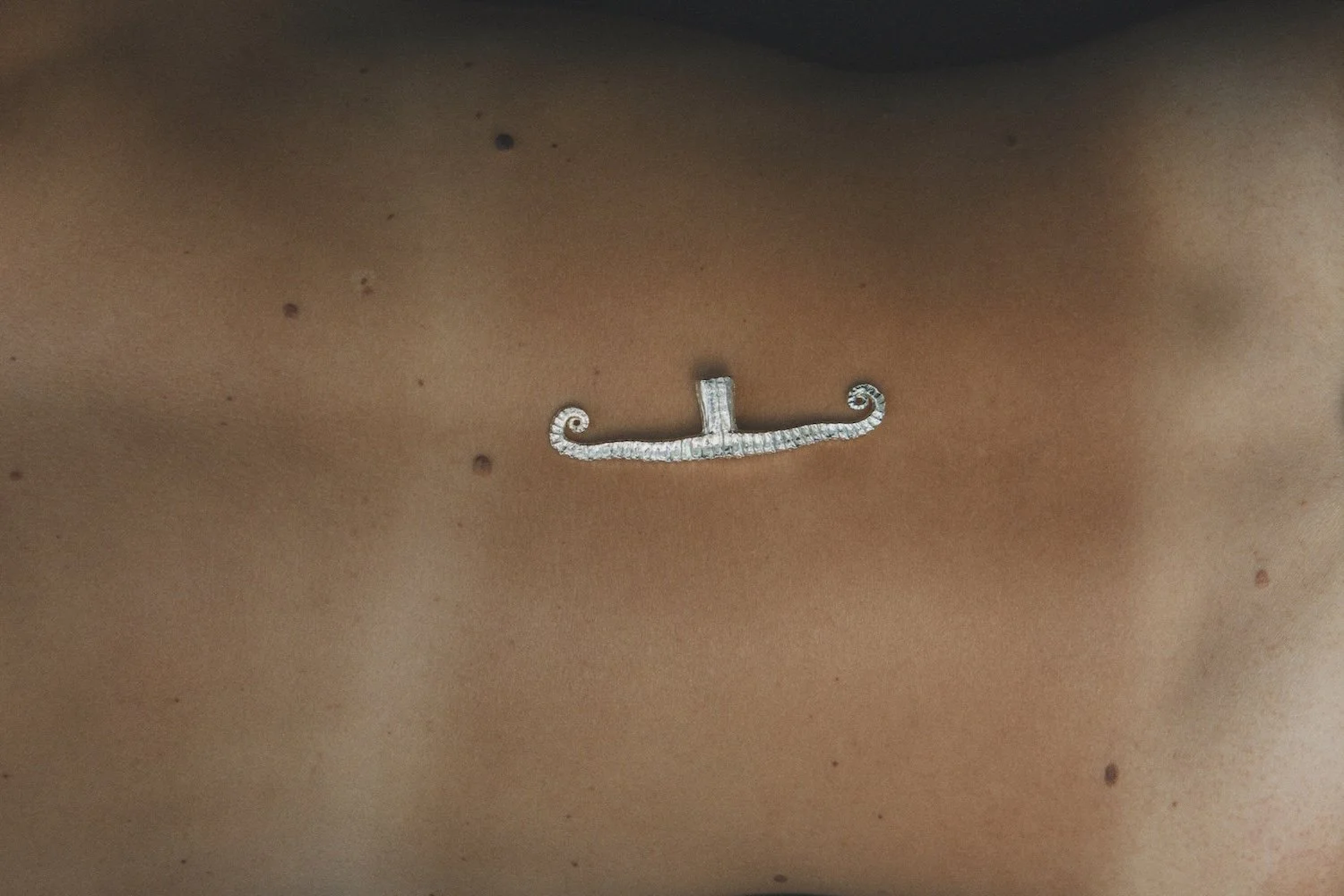MT_Volute_nickel-satiné_peau©AgatheBoudin.jpg