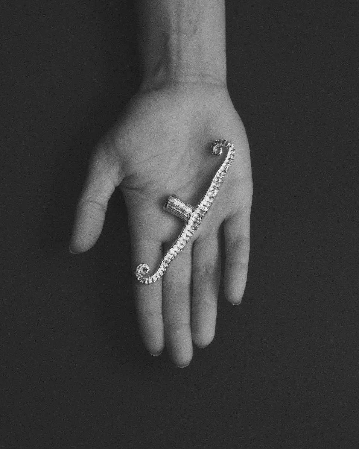 MT_Volute_nickel-satiné_main_N&B©AgatheBoudin.jpg