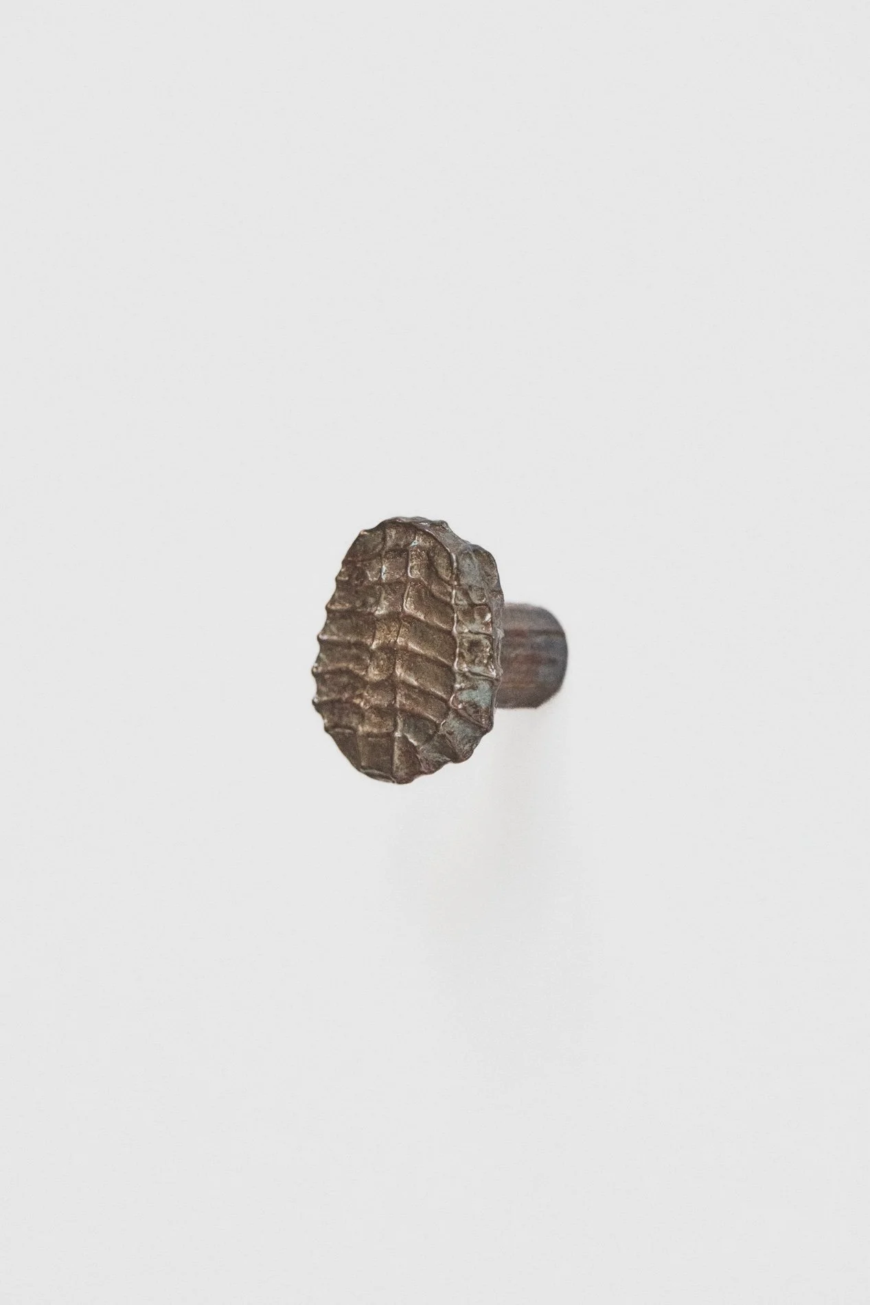MT_Roc_laiton-patiné_profil_fond-blanc©AgatheBoudin.jpg