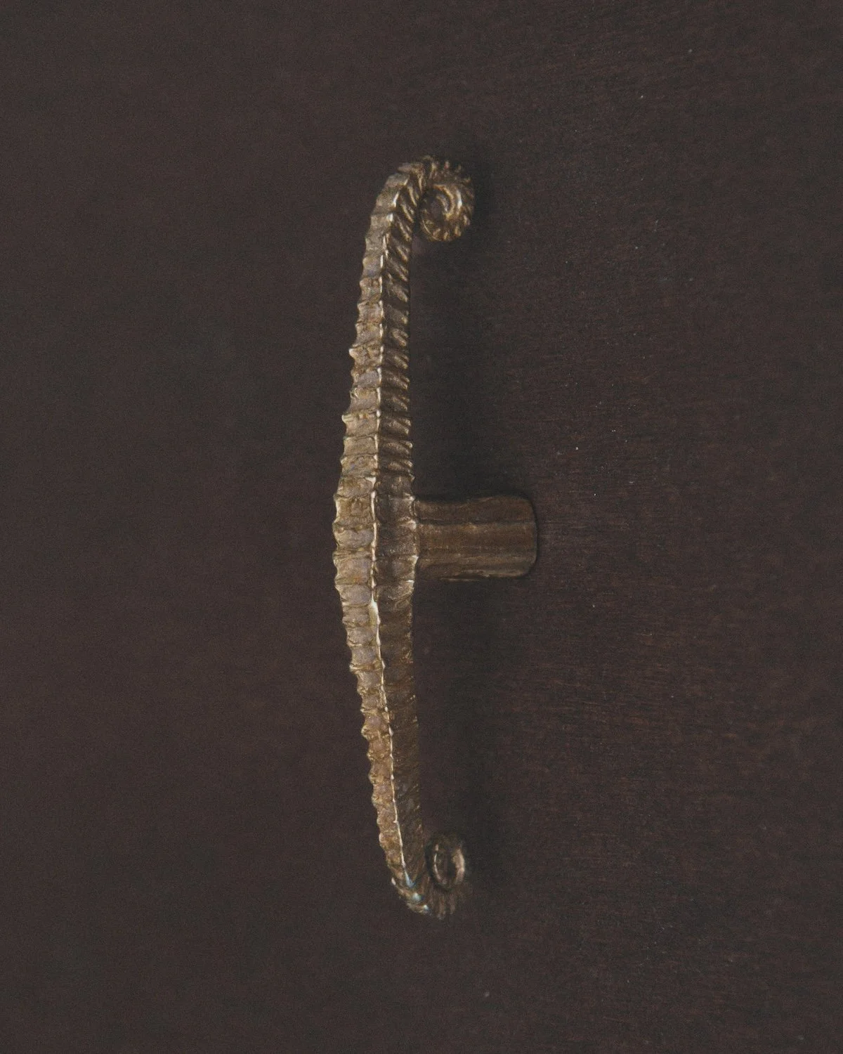MT_Volute_laiton-patiné_profil_bois©AgatheBoudin.jpg