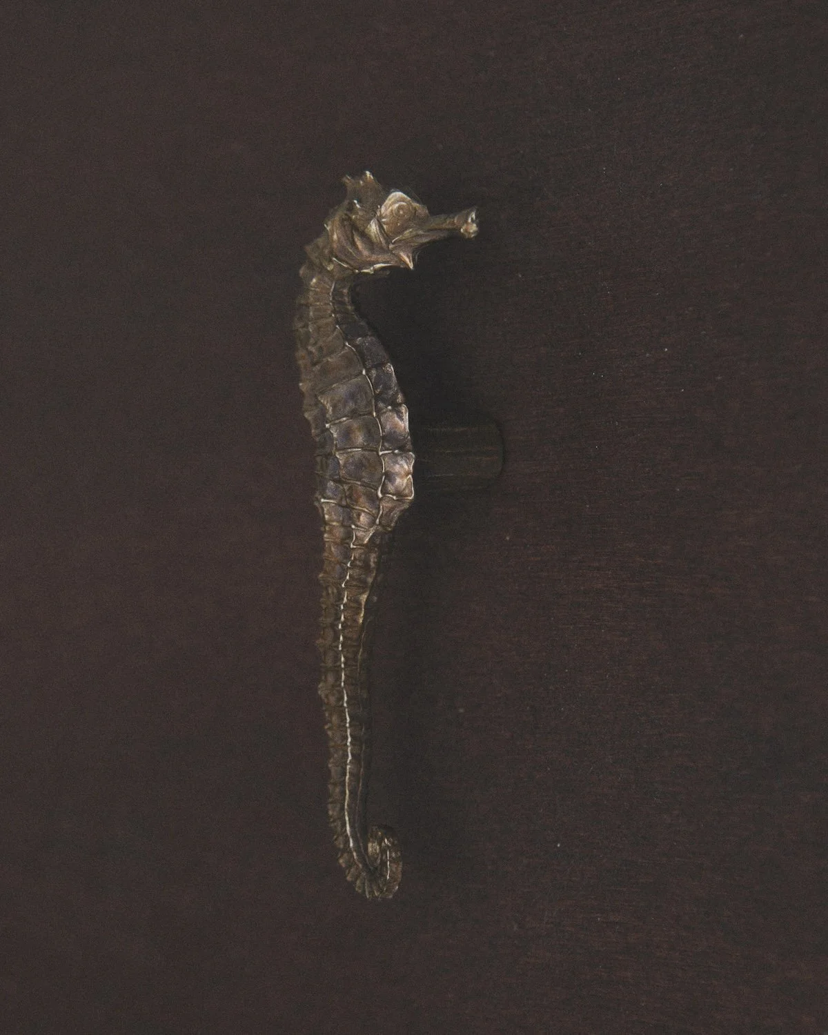 MT_Hippocampe_laiton-patiné_profil_bois©AgatheBoudin.jpg