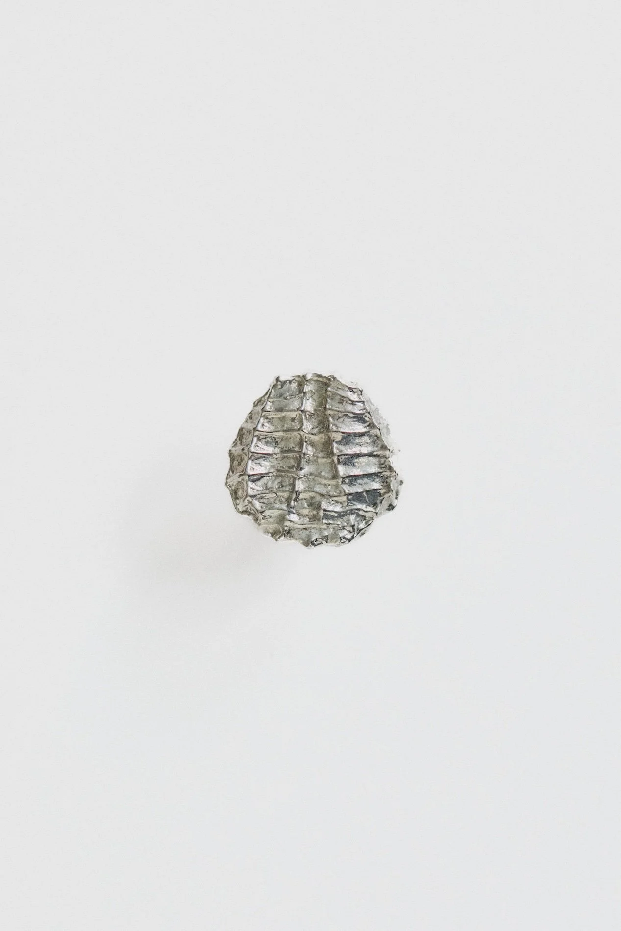 MT_Roc_nickel-satiné_face_fond-blanc©AgatheBoudin.jpg