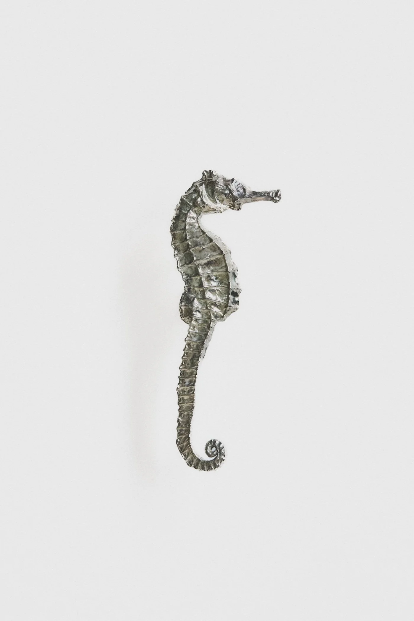 MT_Hippocampe_nickel-satiné_face_fond-blanc©AgatheBoudin.jpg