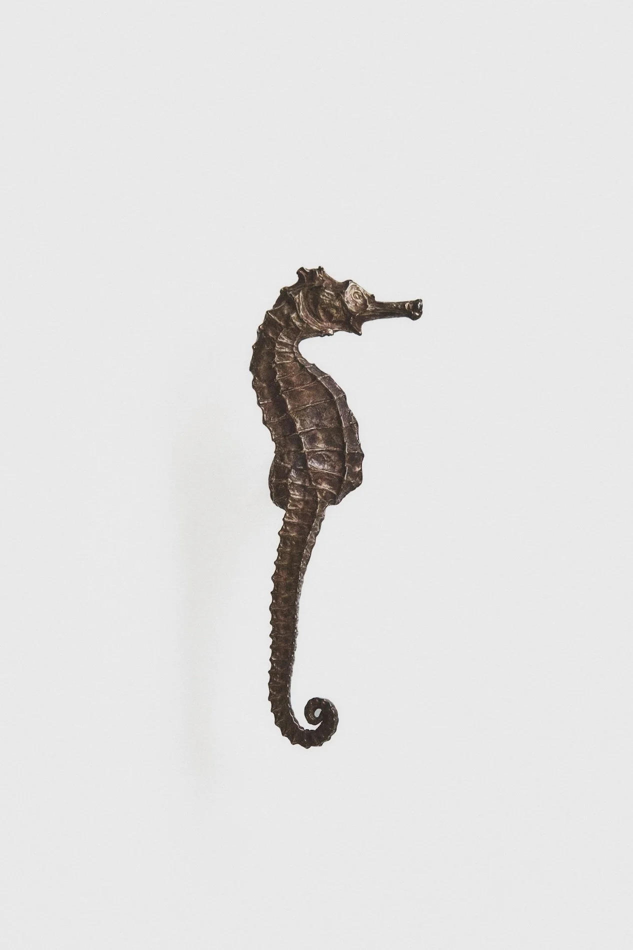 MT_Hippocampe_laiton-patiné_face_fond-blanc©AgatheBoudin.jpg