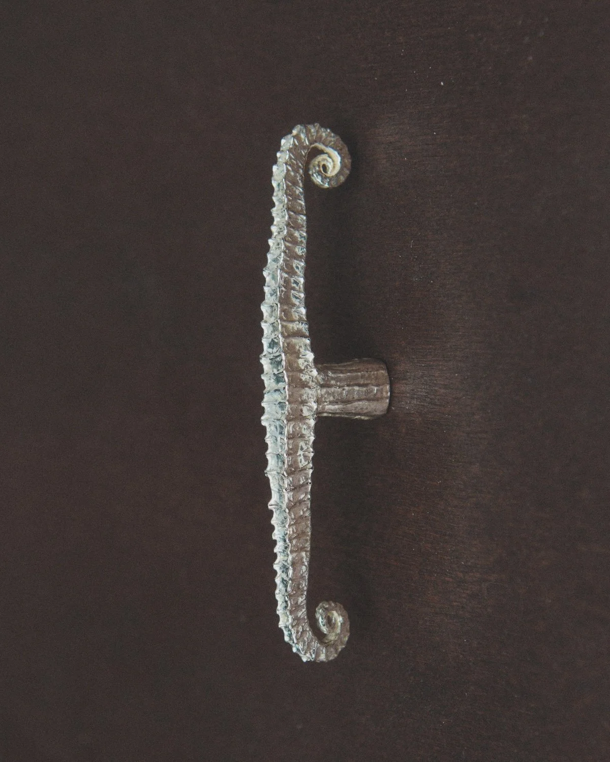 MT_Volute_nickel-satiné_profil_bois©AgatheBoudin.jpg