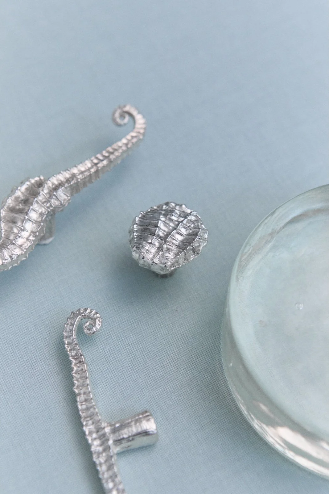 MT_Collection-hippocampe_nickel-satiné_fond-bleu©AgatheBoudin.jpg