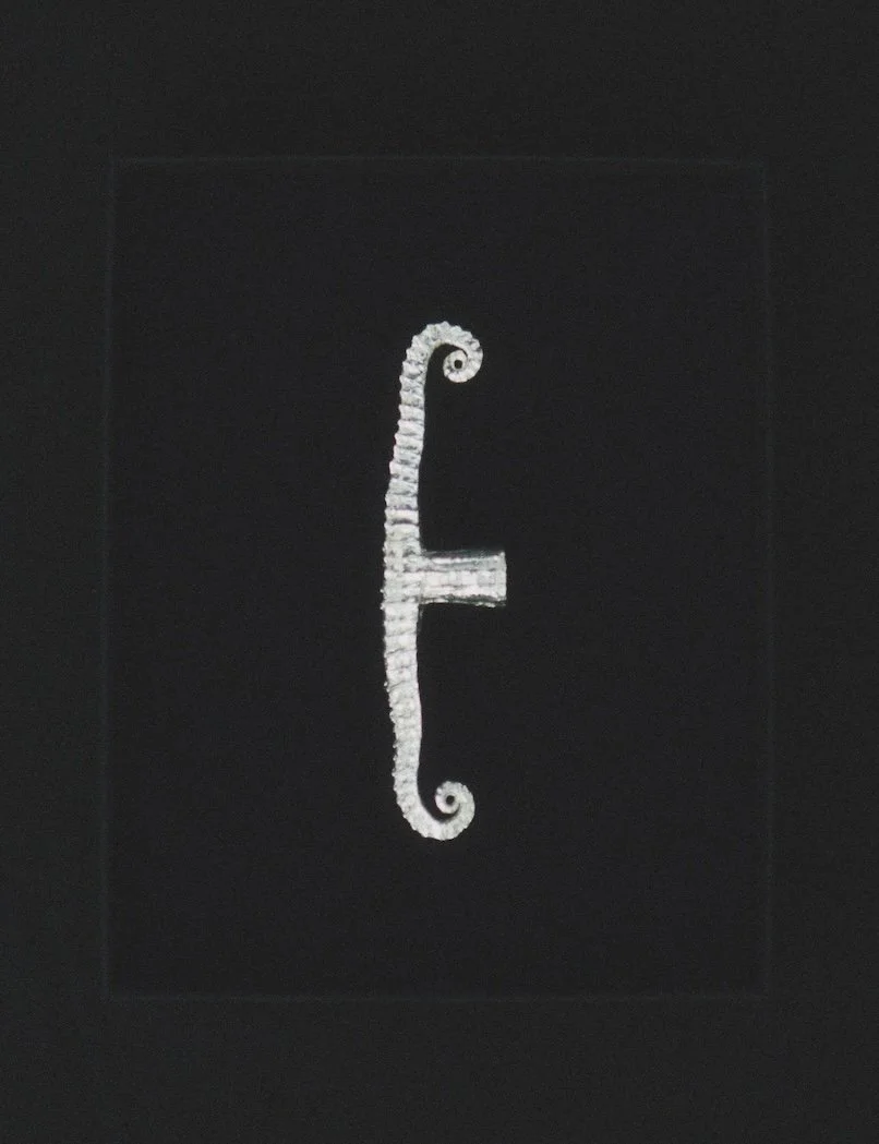 MT_Volute-nickel-satiné_fond-noir©AgatheBoudin.jpg