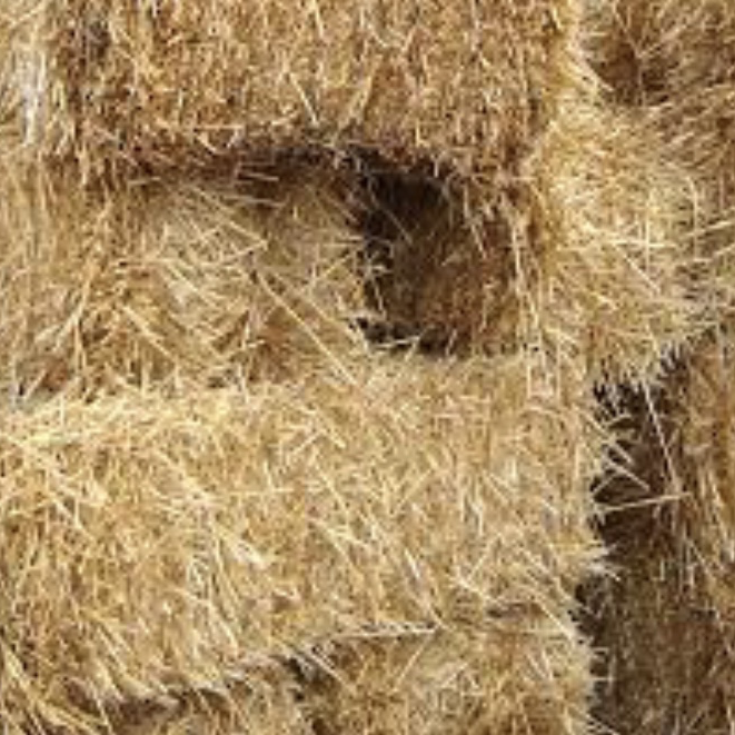 Home Durham NC Durham Mulch Co.