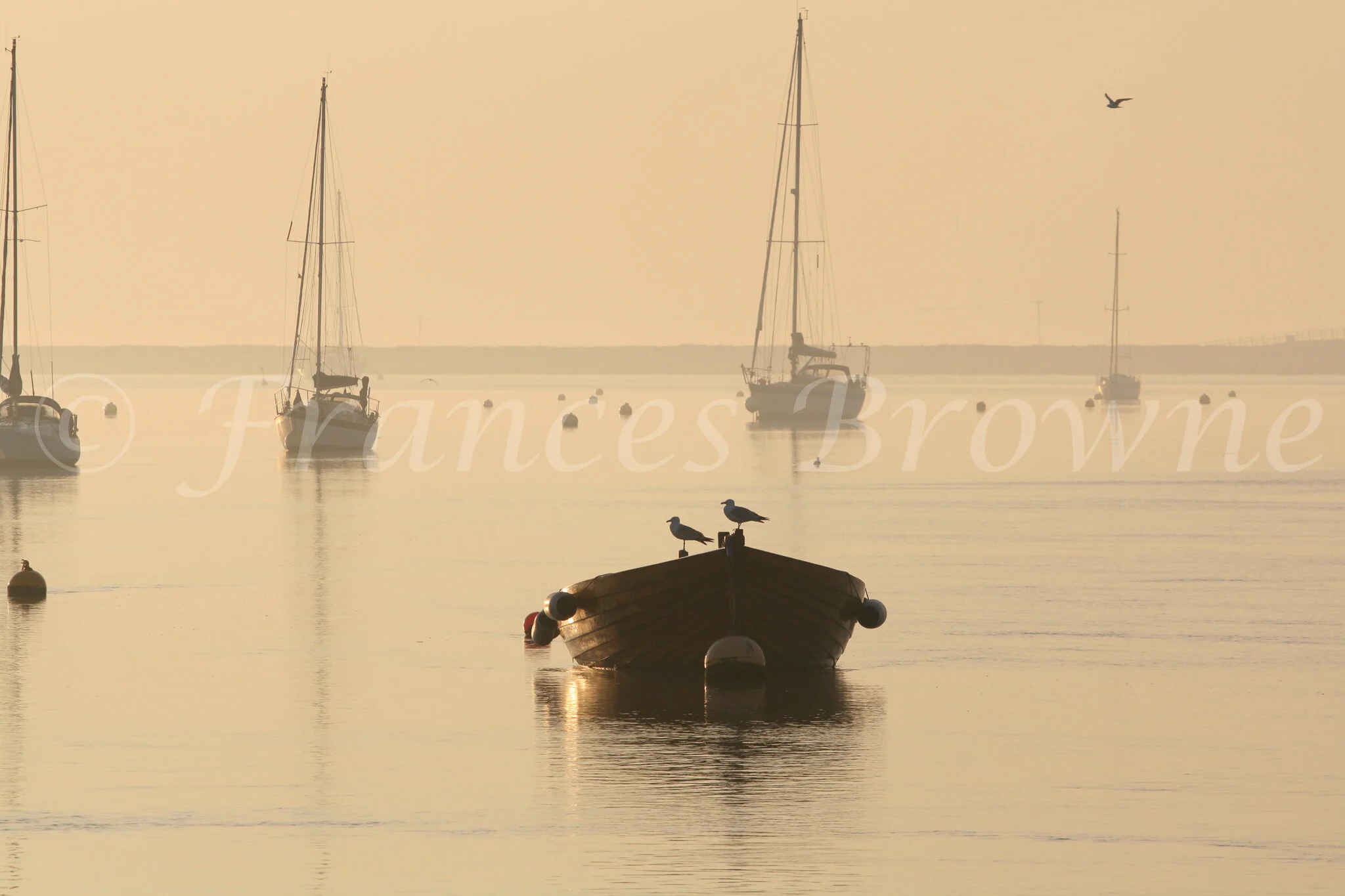 Sunrise over orford .jpg